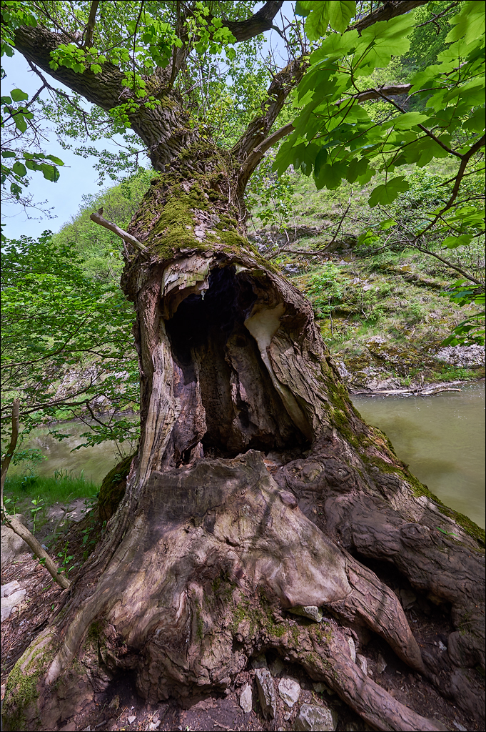 CheileTurzii 2017 122122