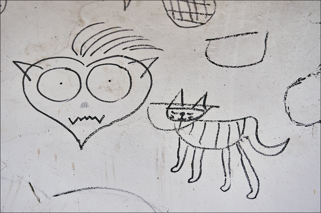 CheileTurzii 2017 155155