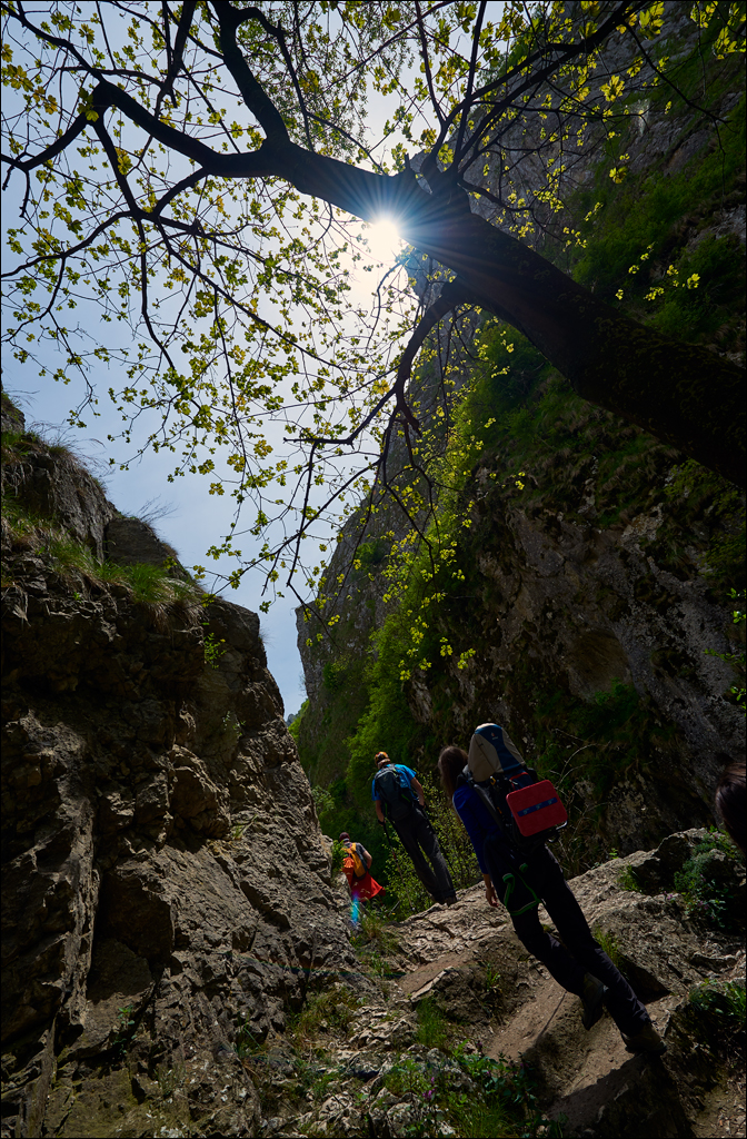 CheileTurzii 2017 163163