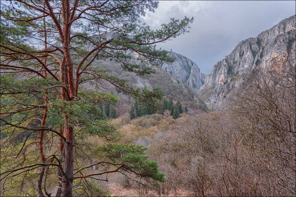 CheileTurzii Cluj 25 26feb2023 131
