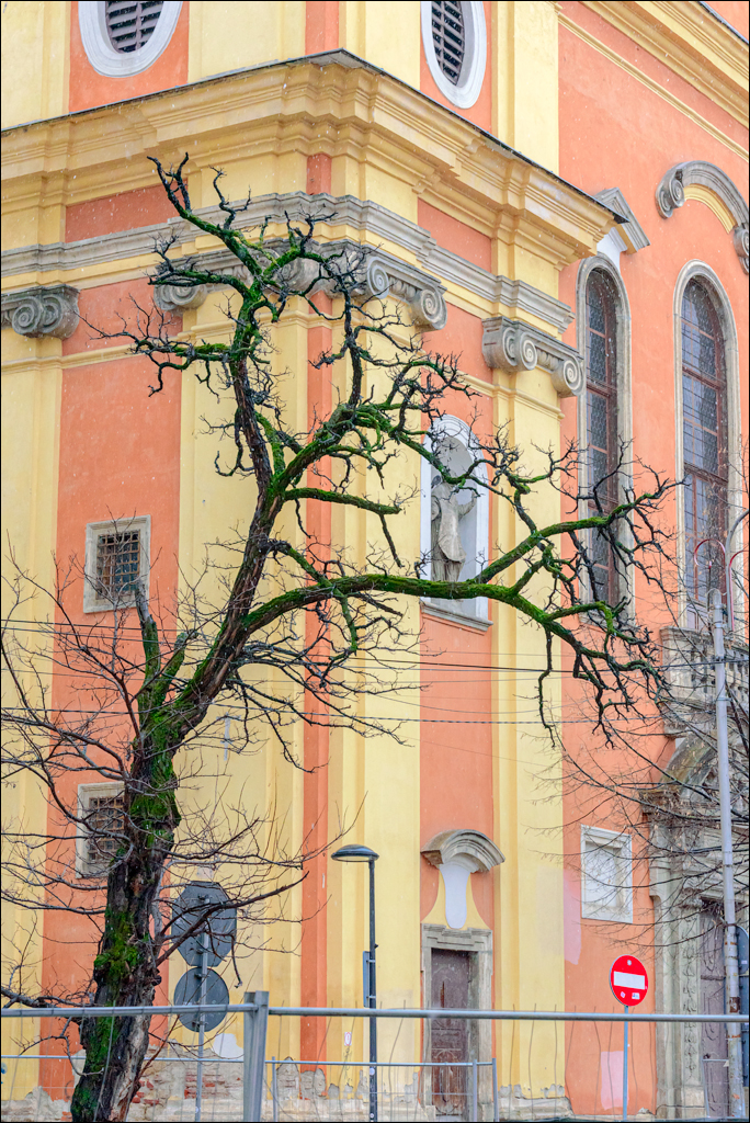 CheileTurzii Cluj 25 26feb2023 237