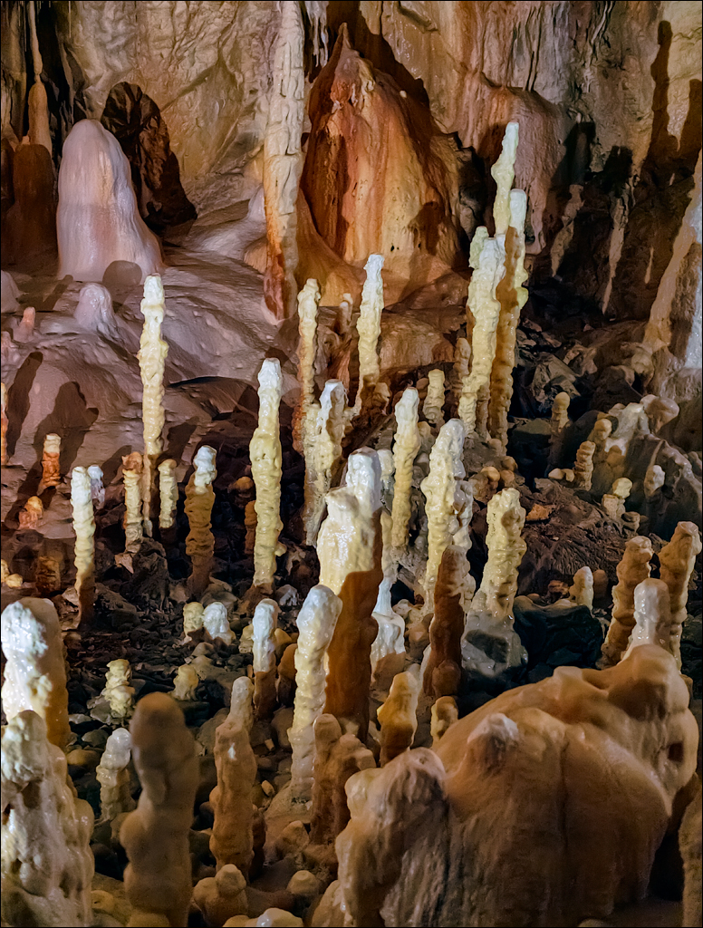 ClujNapoca PesteraUrsilor 20161111 181