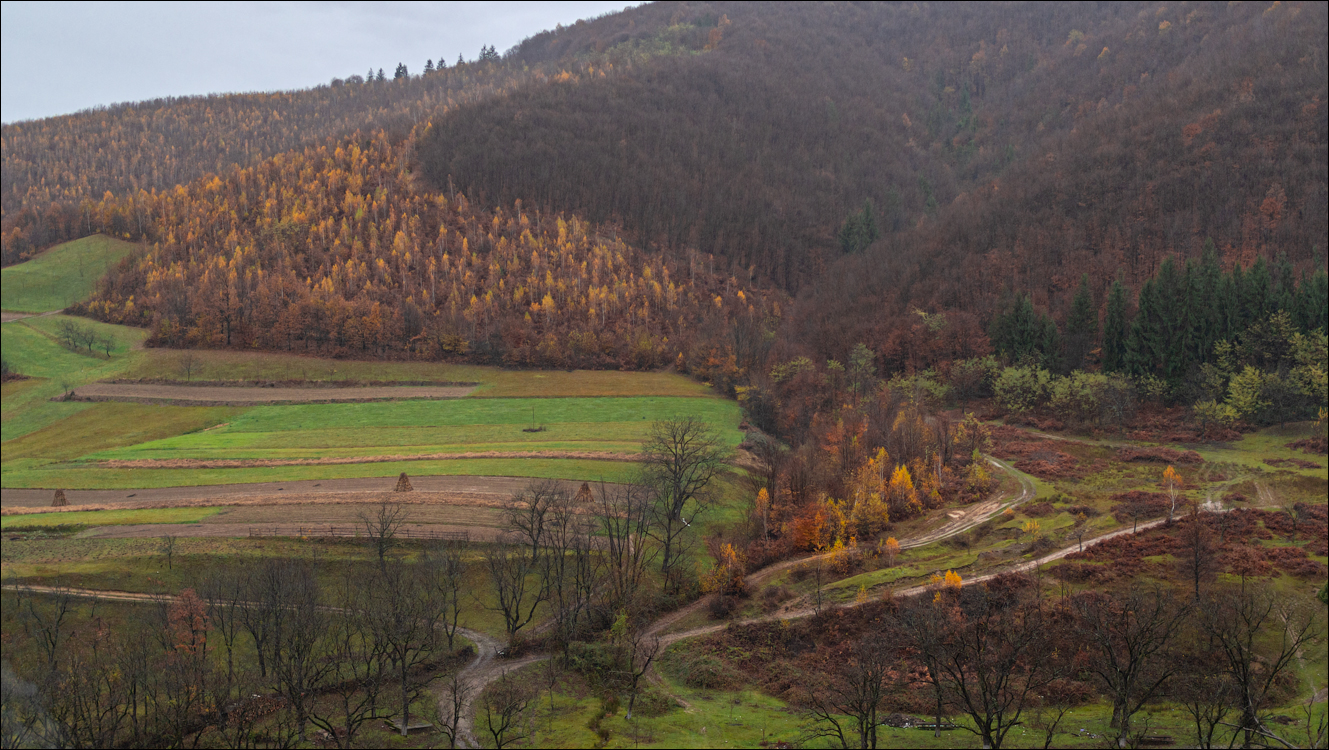ClujNapoca PesteraUrsilor 20161111 199