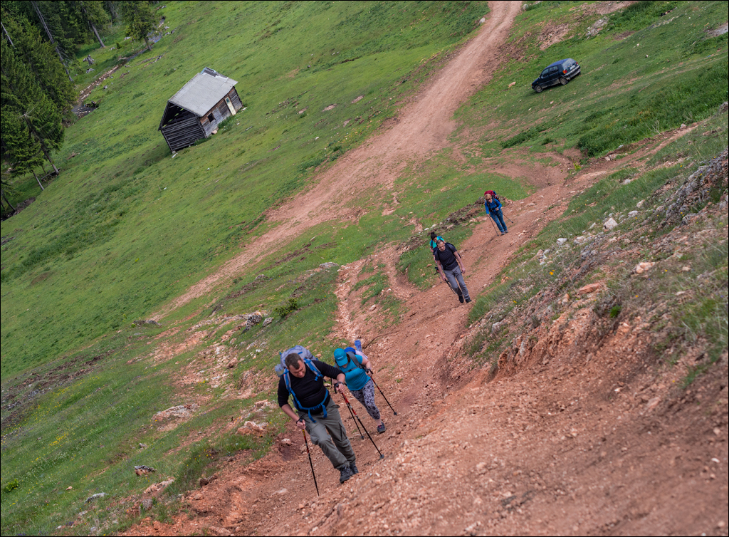 HasmasSinguratica 20180601 3021