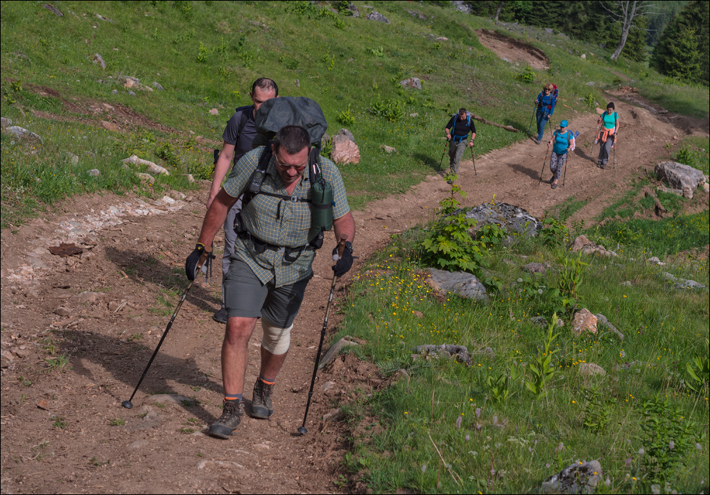 HasmasSinguratica 20180601 3031