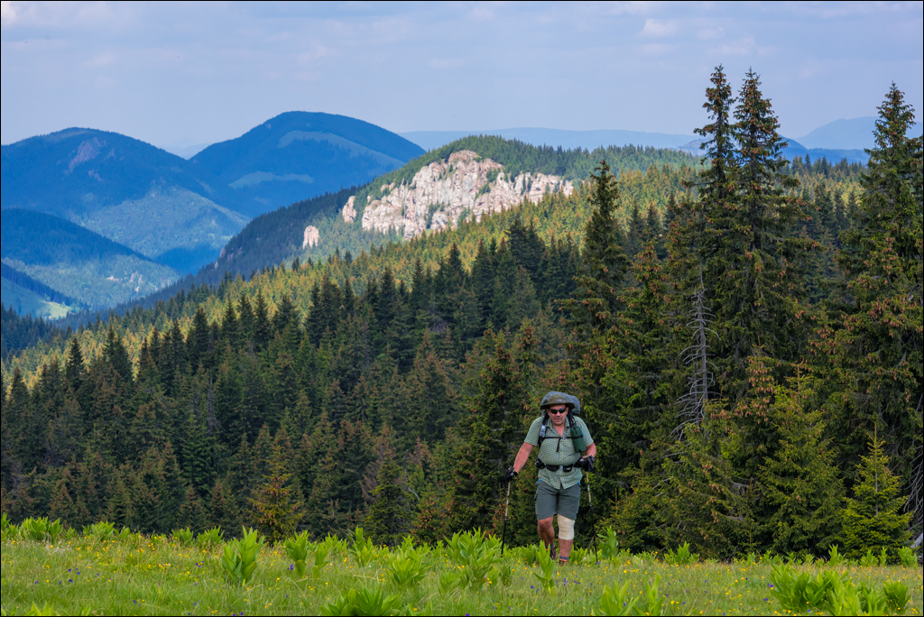 HasmasSinguratica 20180601 3059