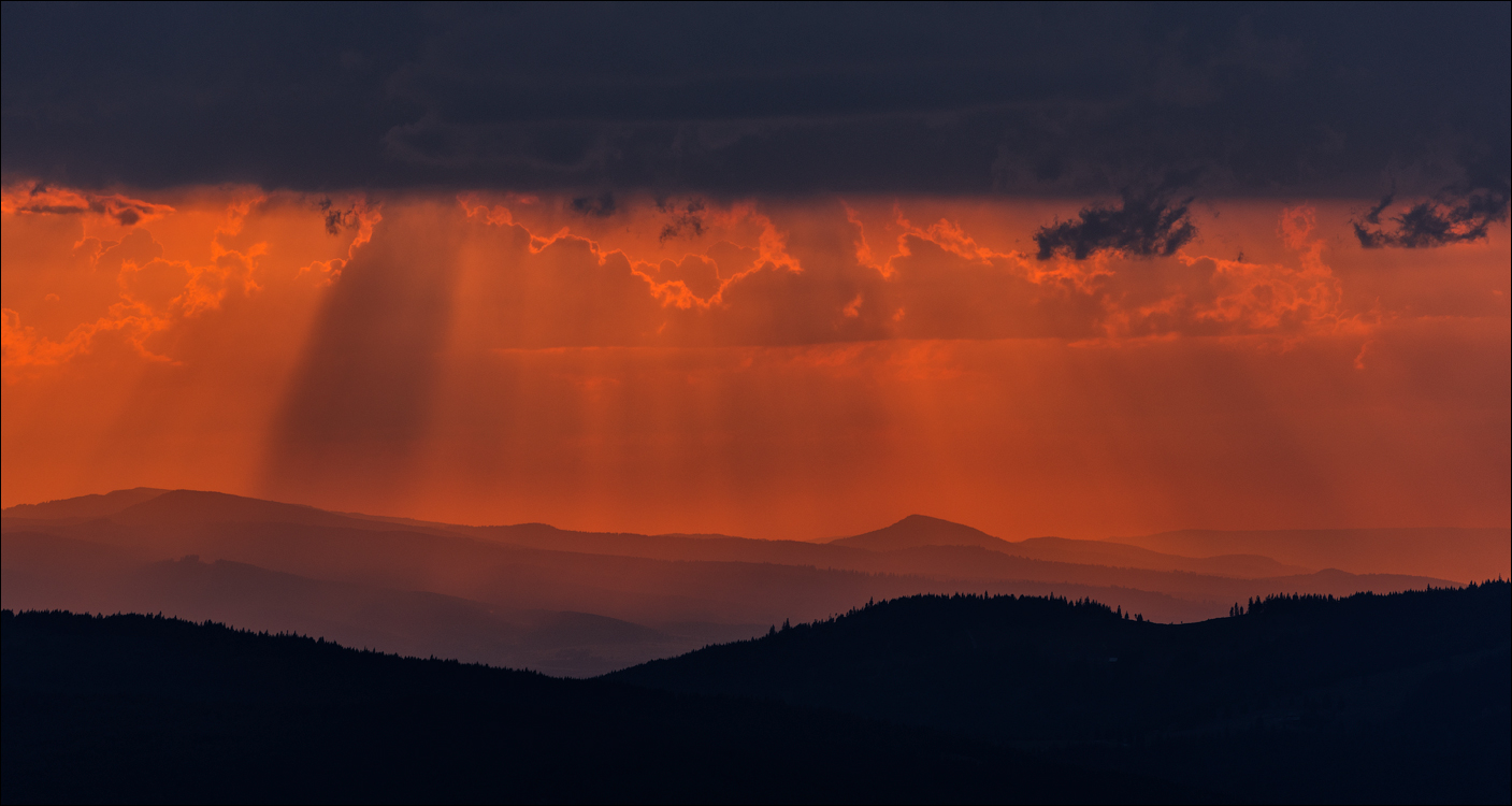 HasmasSinguratica 20180601 3117