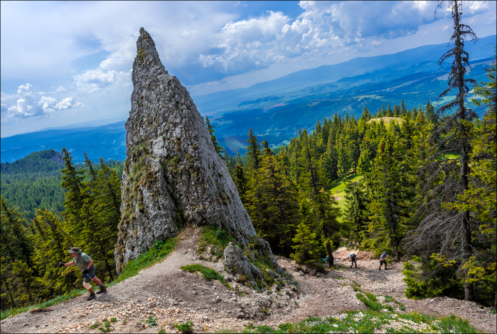 HasmasSinguratica 20180601 3127