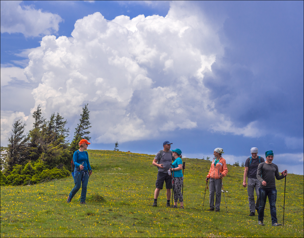 HasmasSinguratica 20180601 3159