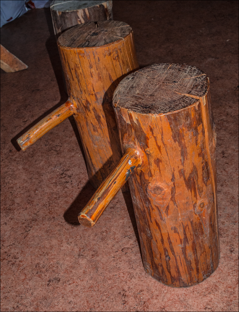 HasmasSinguratica 20180601 3167