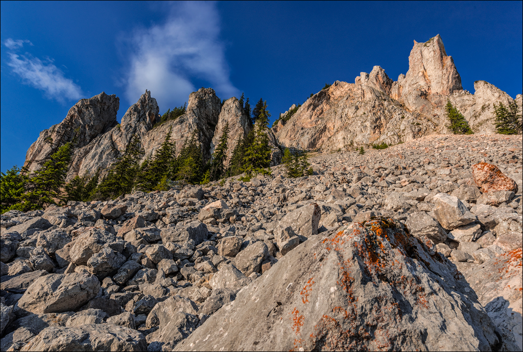 HasmasSinguratica 20180601 3175