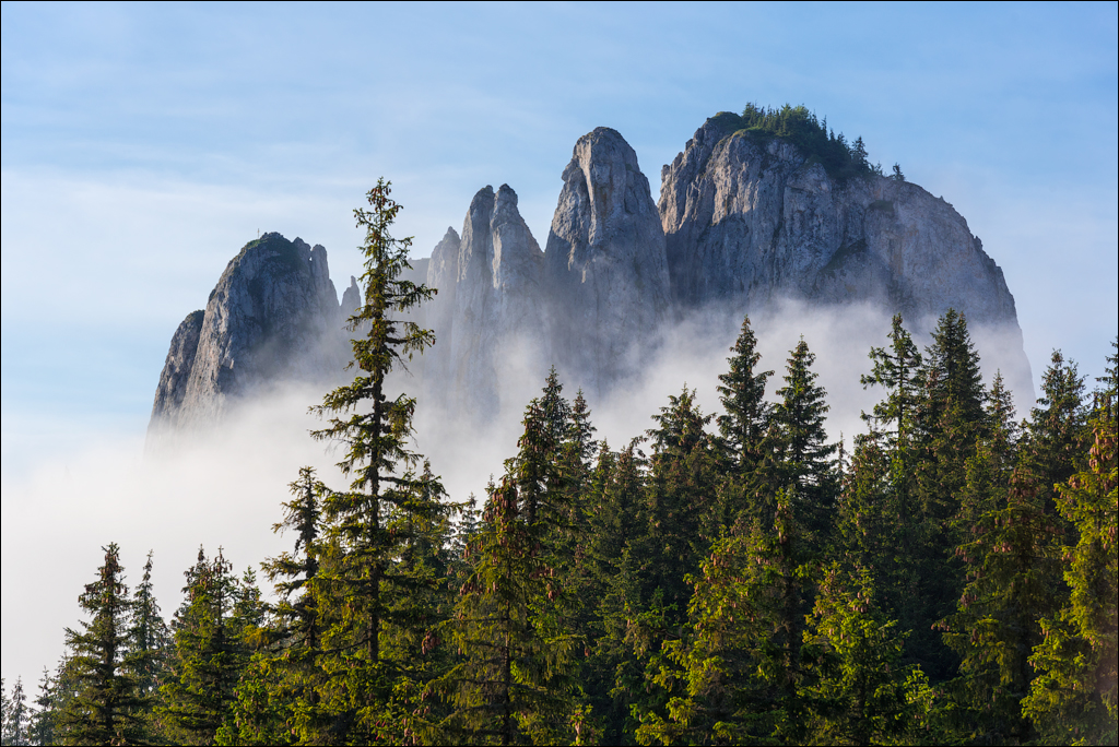 HasmasSinguratica 20180601 3178