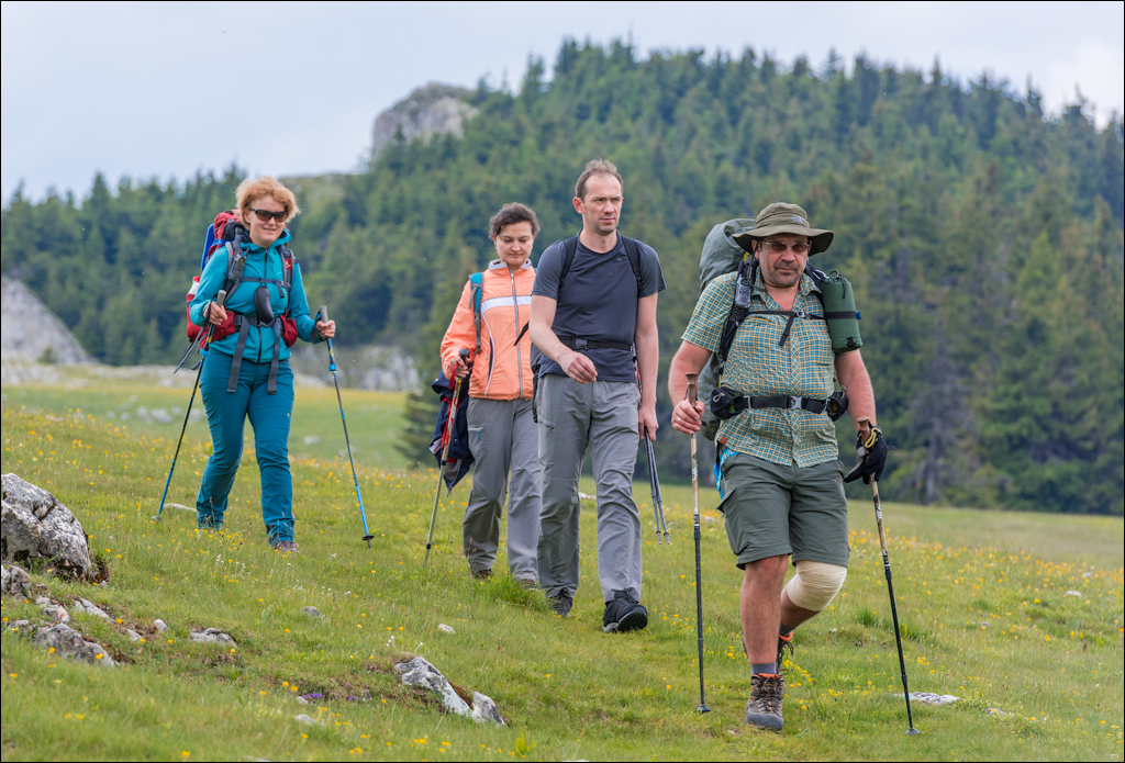 HasmasSinguratica 20180601 3209