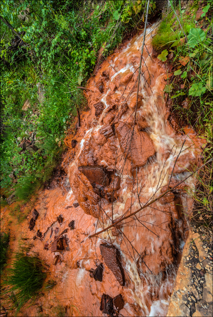 HasmasSinguratica 20180601 3210