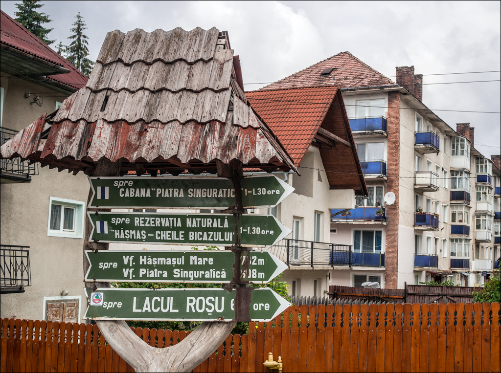 HasmasSinguratica 20180601 3217