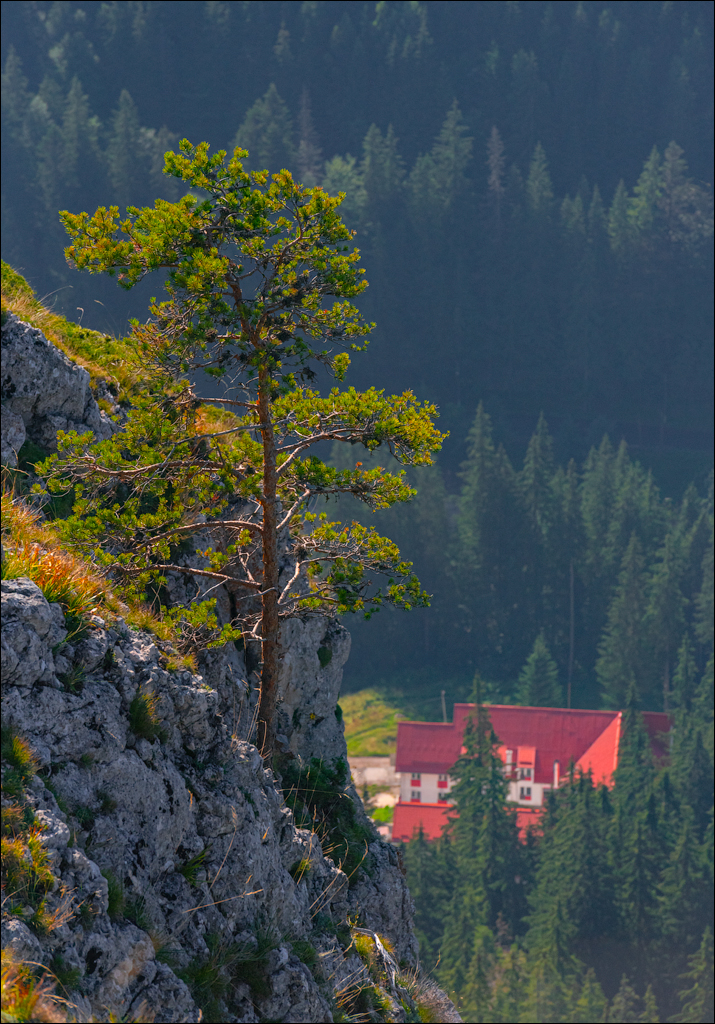 LacuRosu 27 29sep2022 134