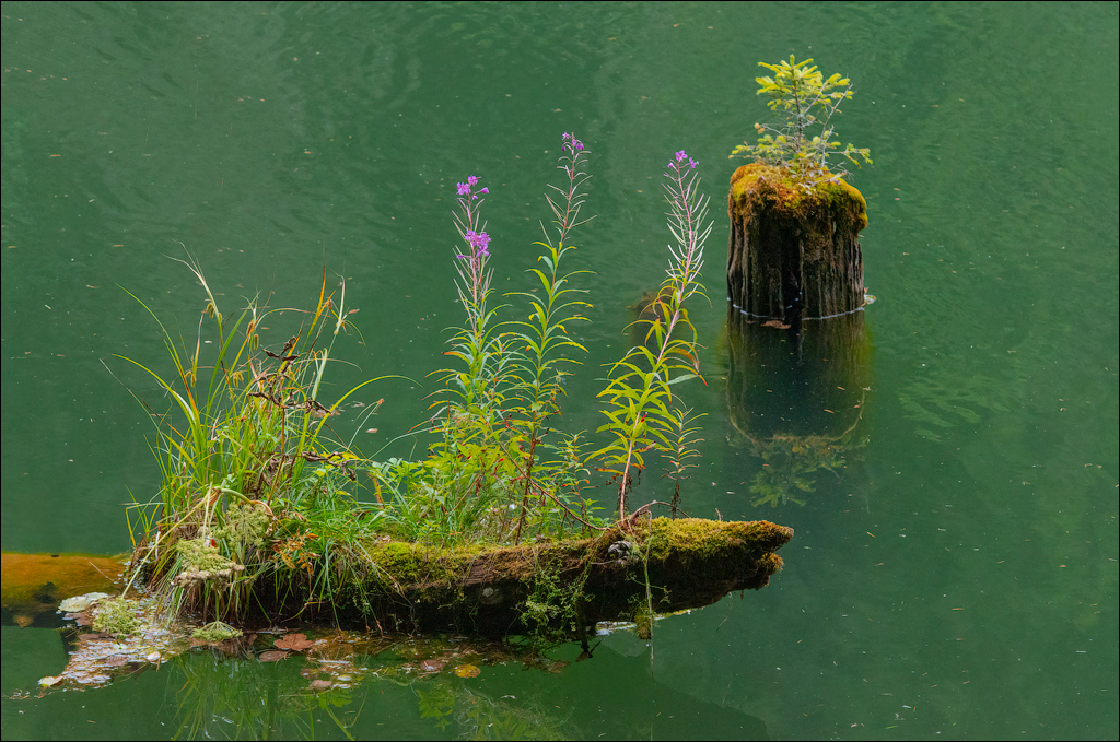 LaculRosu PiatraNeamt 27 31aug2021 135