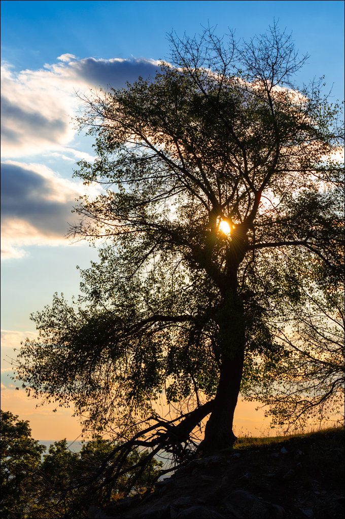 Munti Macin 121719 323