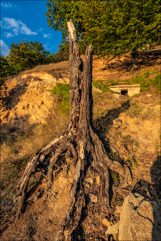 Munti Macin 121719 349