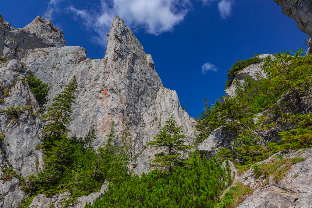 Rarau 25 26aug2023 137