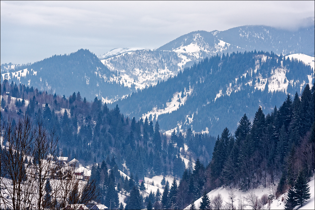 PetrosuMare 20172017020608