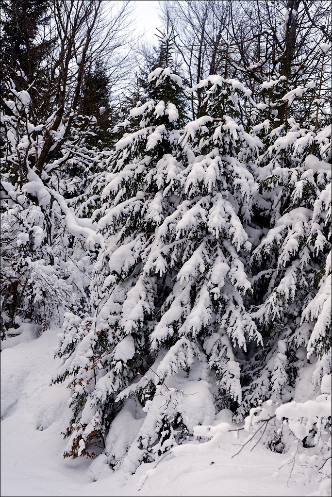 PetrosuMare 20172017020711