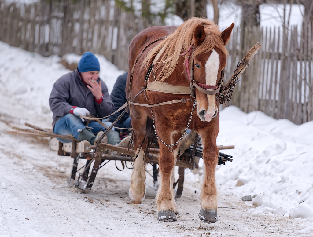 PetrosuMare 20172017020756