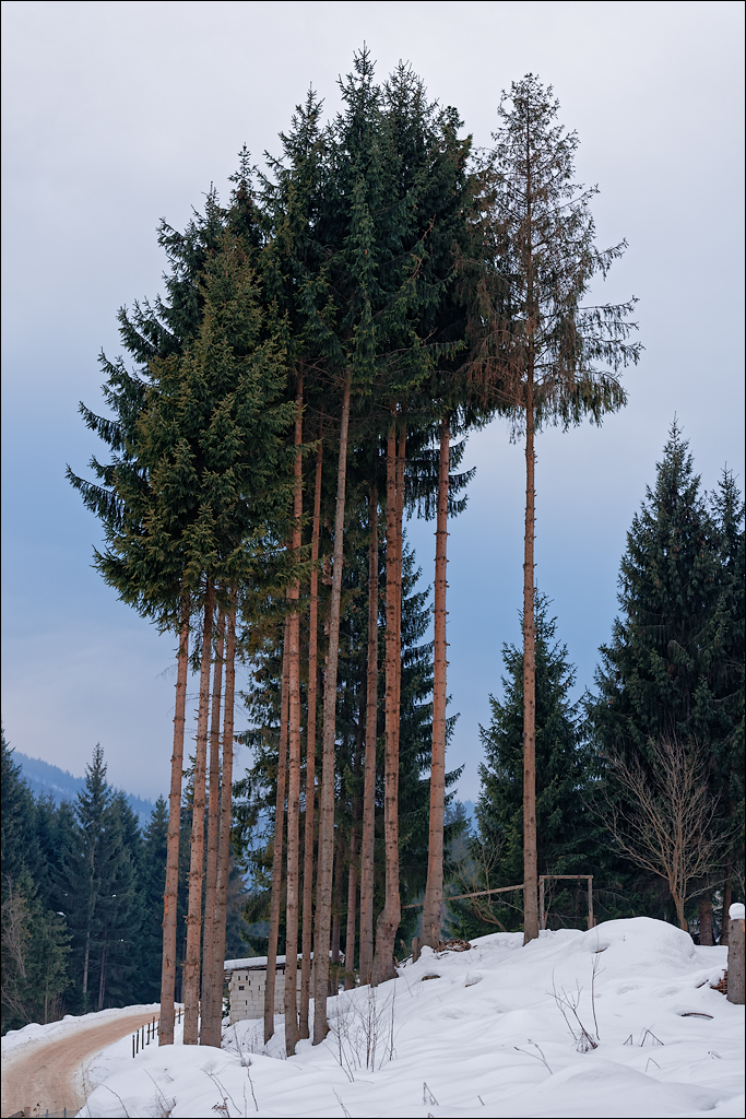 PetrosuMare 20172017020758