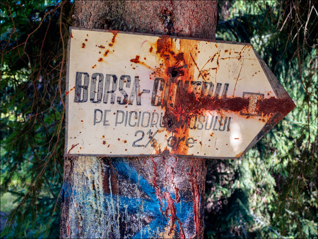 Rodnei Petrosu 20180805013