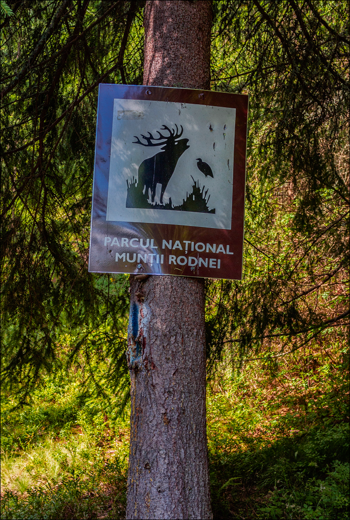 Rodnei Petrosu 20180805017