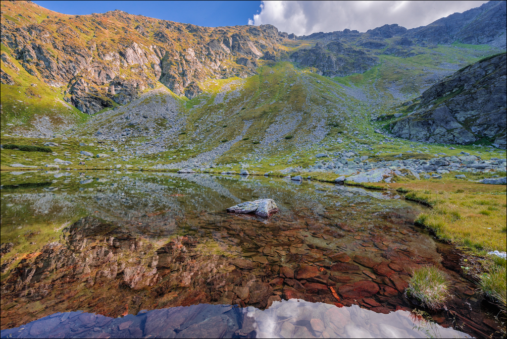 Rodnei Petrosu 20180805028