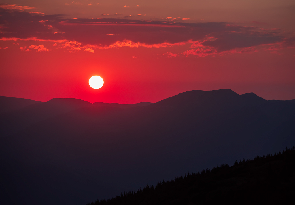 Rodnei Petrosu 20180805043