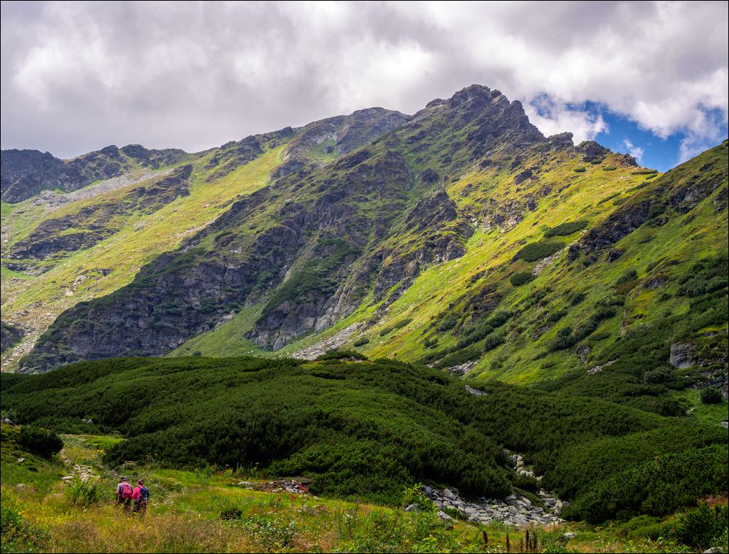Rodnei Petrosu 20180805087