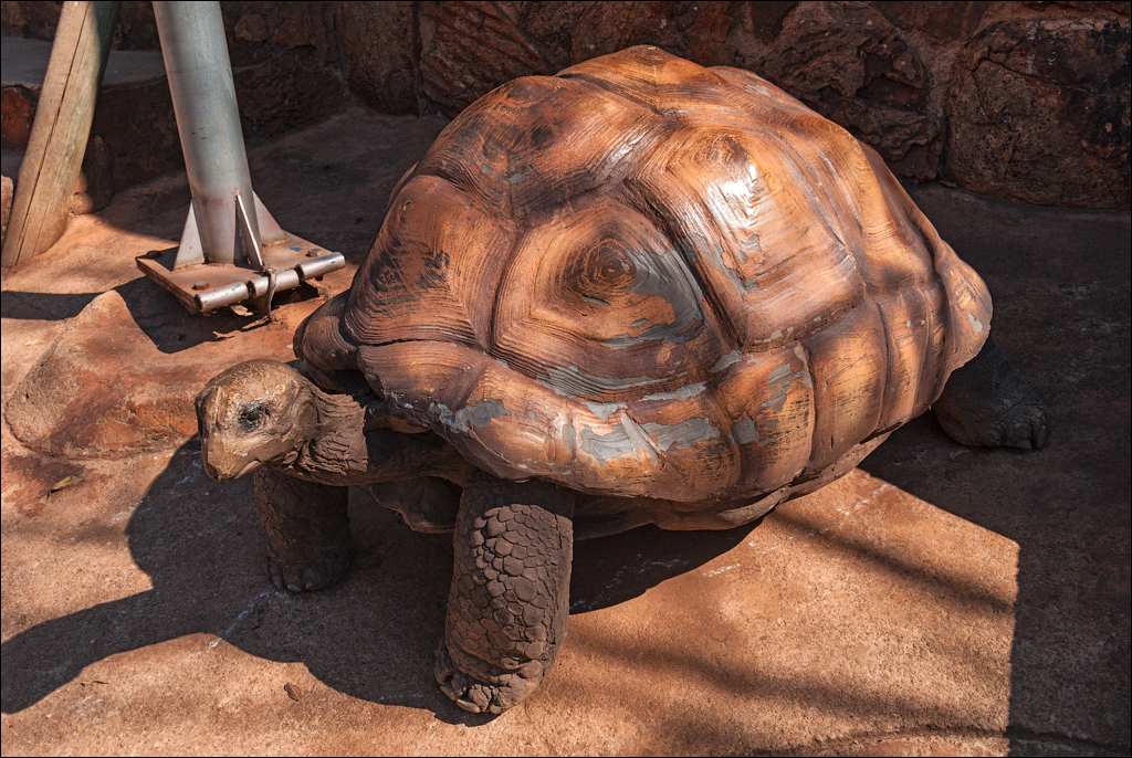 Pretoria 1 20150808029