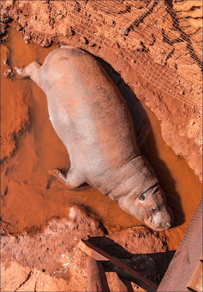 Pretoria 1 20150808034