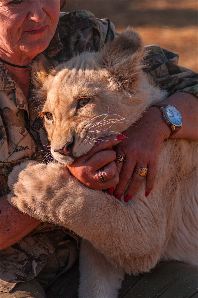 Pretoria 1 20150808071