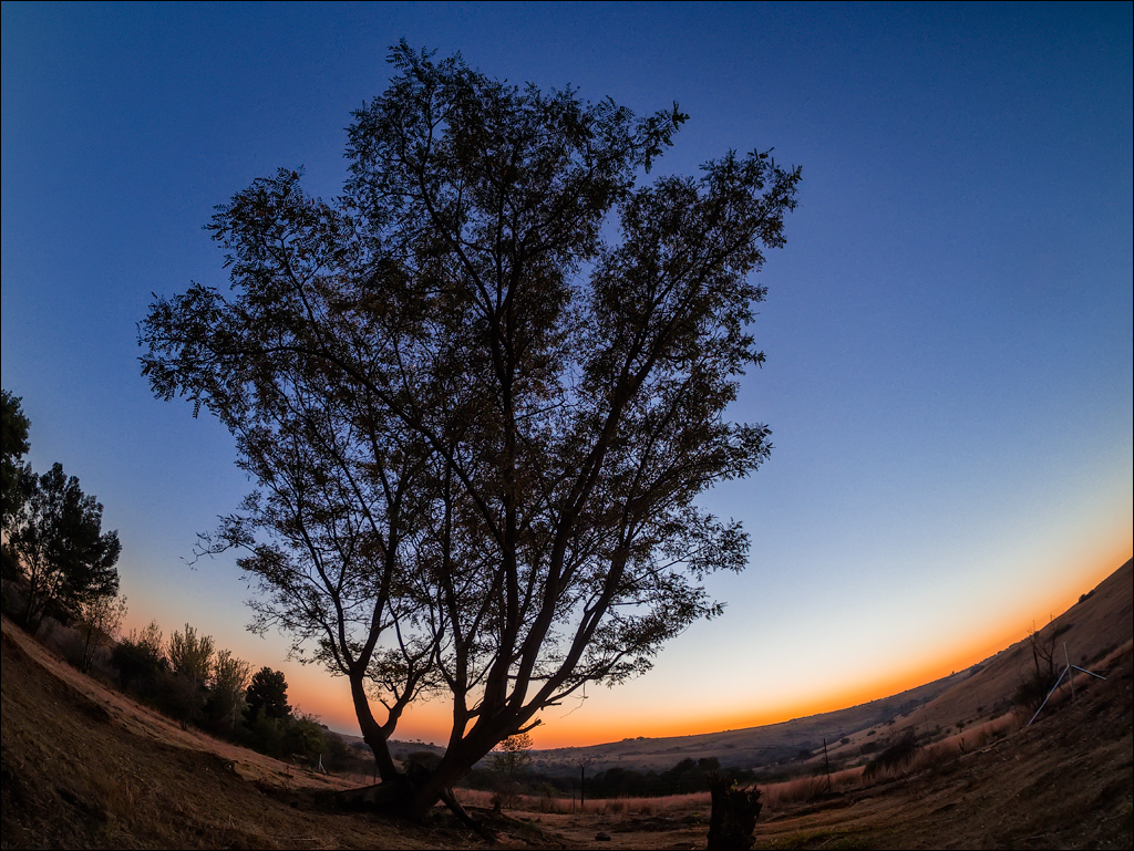 Pretoria 1 20150808108