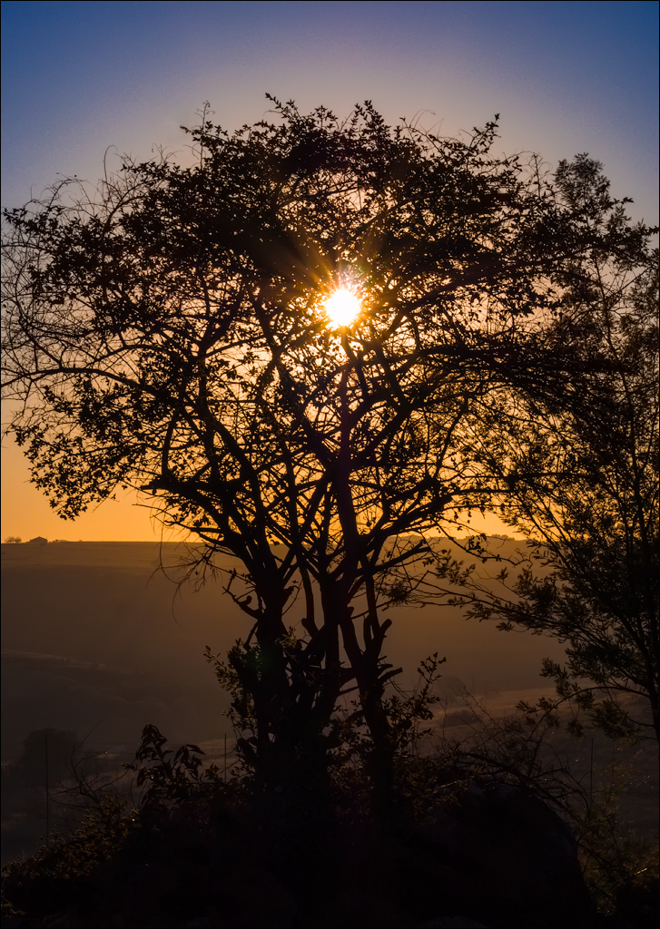 Pretoria 1 20150808120