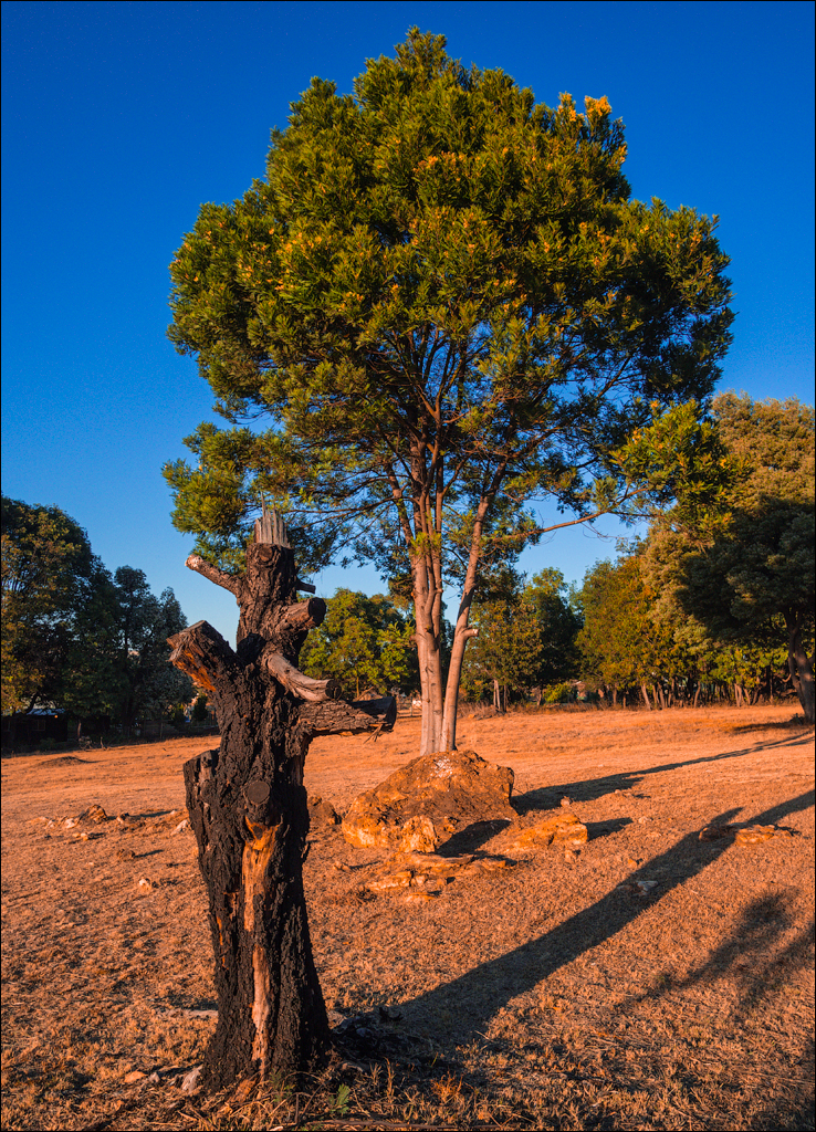 Pretoria 1 20150808124