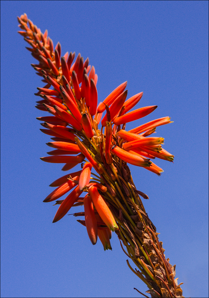 Pretoria 3 20150808002