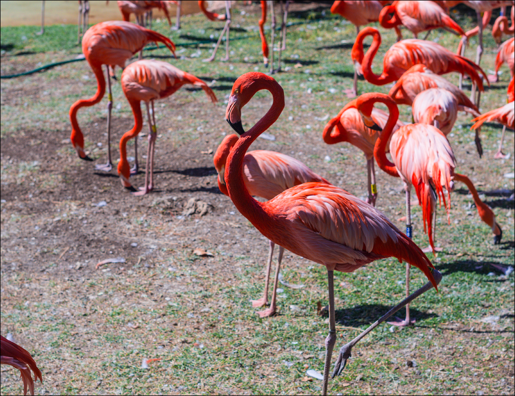 Pretoria 3 20150808038