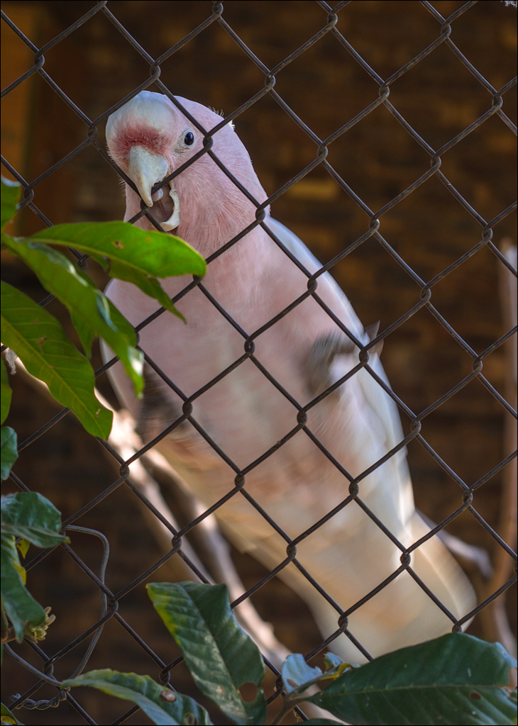 Pretoria 3 20150808056