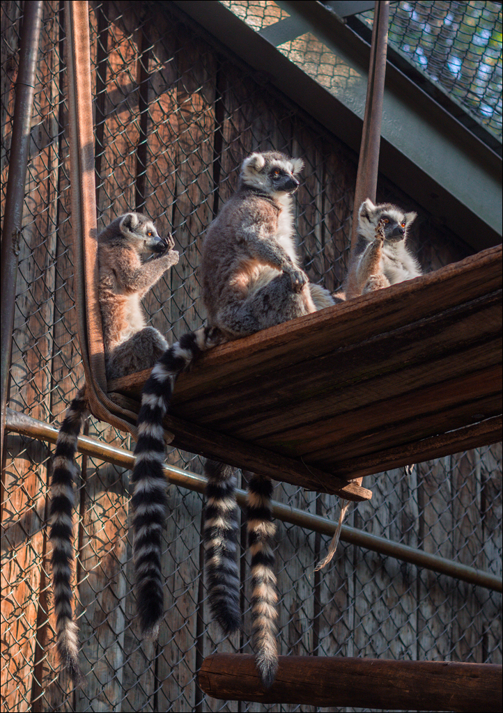 Pretoria 3 20150808057