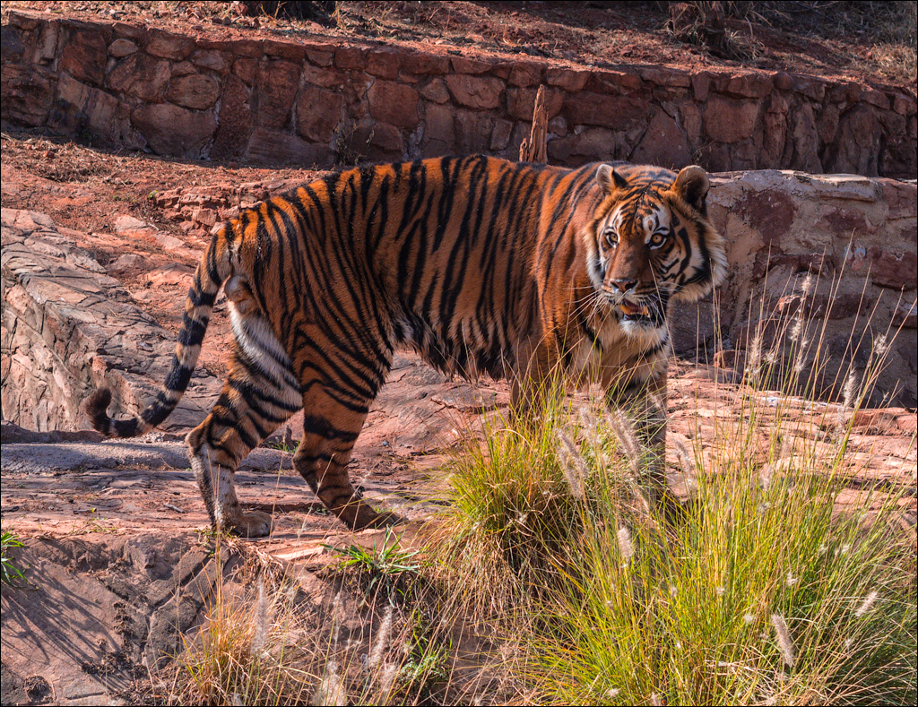 Pretoria 3 20150808064