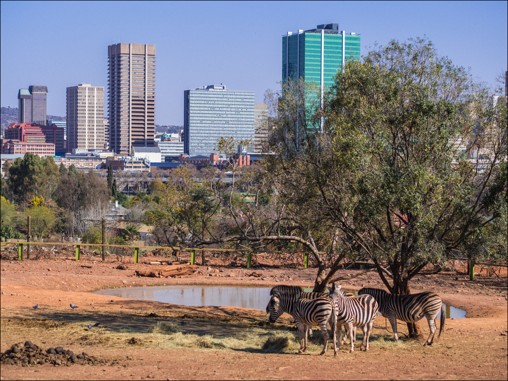 Pretoria 3 20150808075