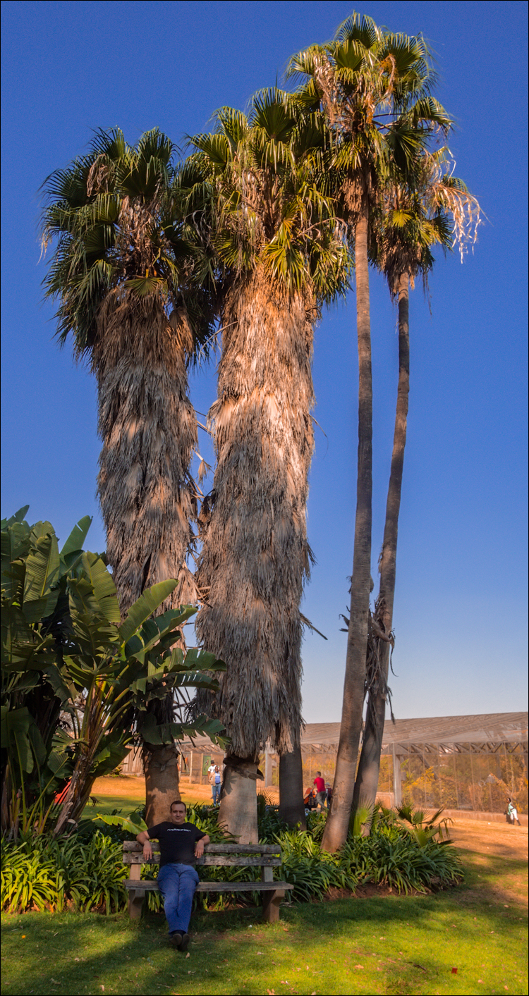 Pretoria 3 20150808078