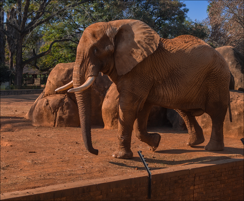 Pretoria 3 20150808082