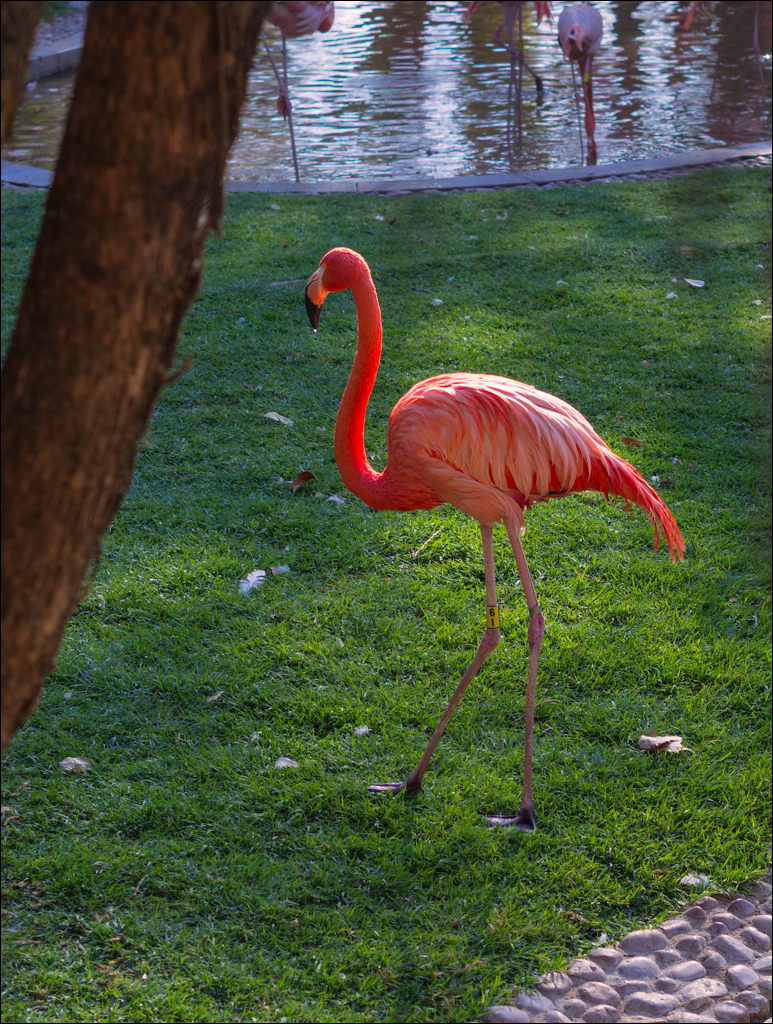 Pretoria 3 20150808084