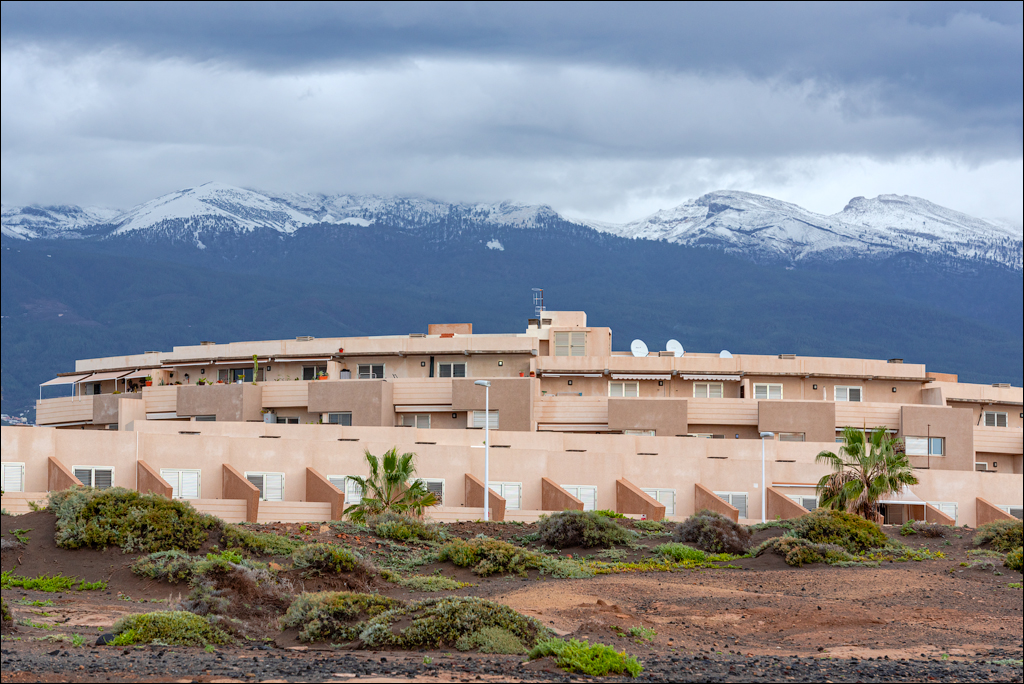 ElMedano 25dec2022 136