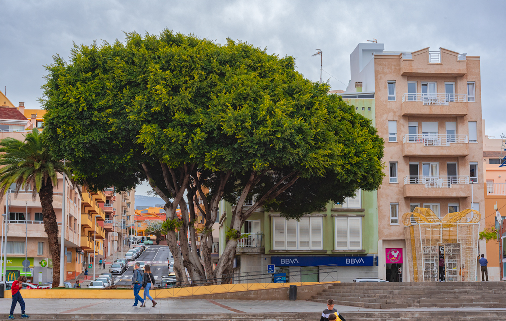 ElMedano 25dec2022 157